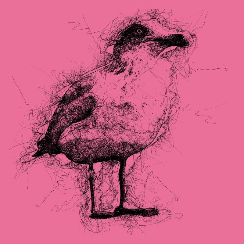 Möwe
