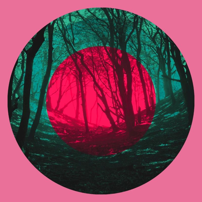 Forest eclipse