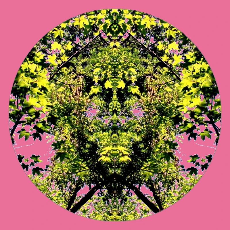 Tree Nature Creature