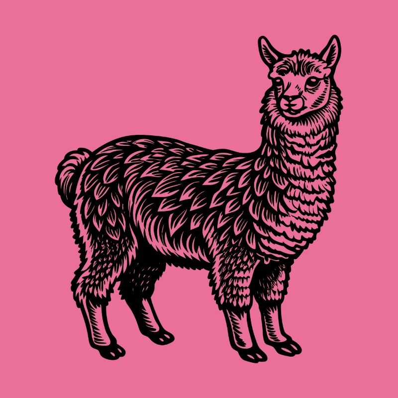 Alpaca