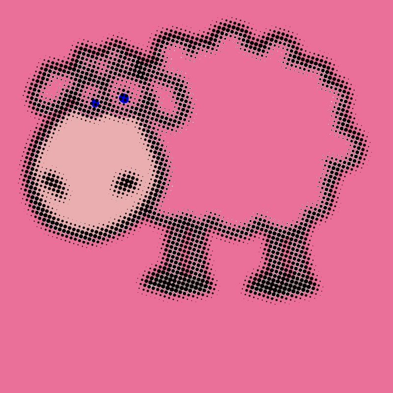 Sheep
