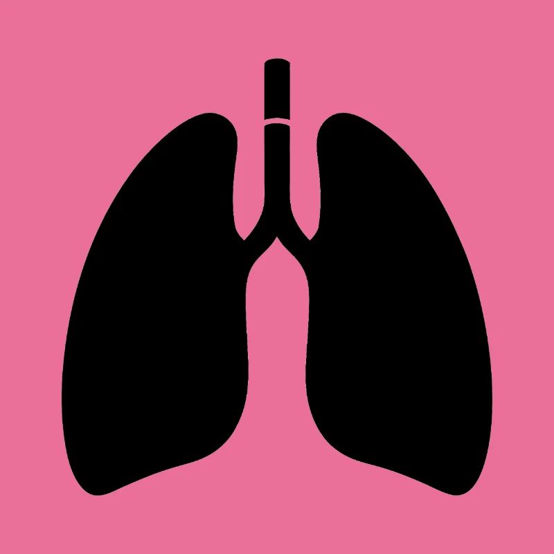 Lungs