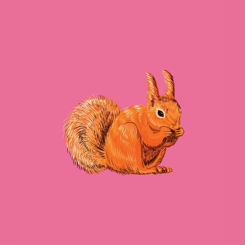 Lustiger Eichhörnchen Spruch