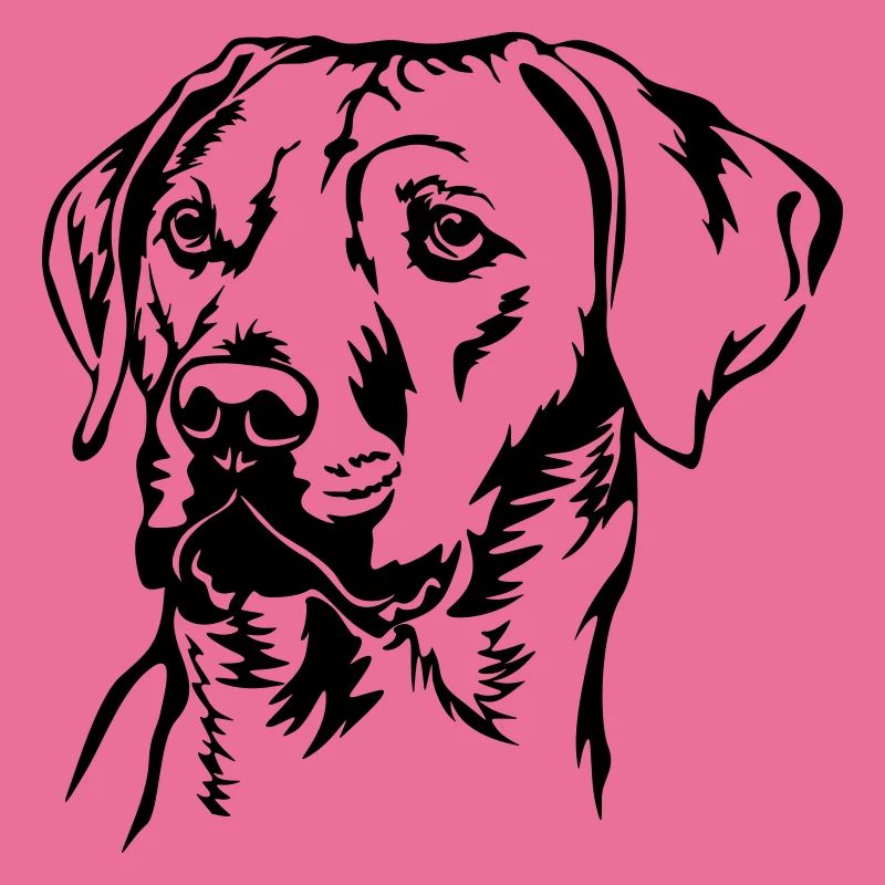 Rhodesian Ridgeback tête