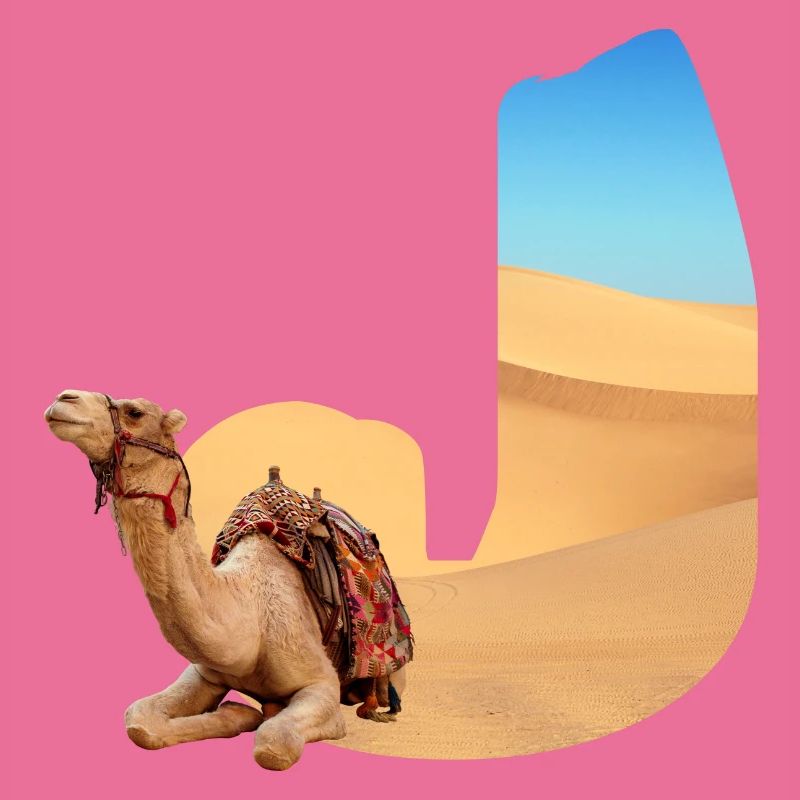 désert avec kamel j