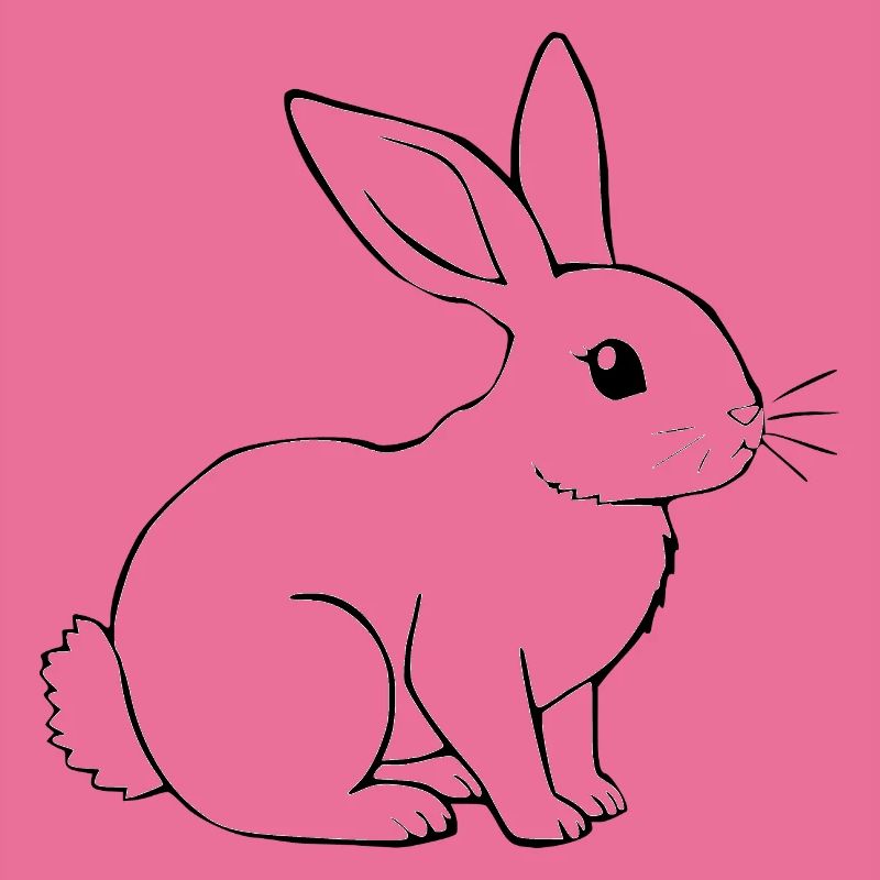 Rabbit Bunny Bunny Dwarf Rabbit Gift