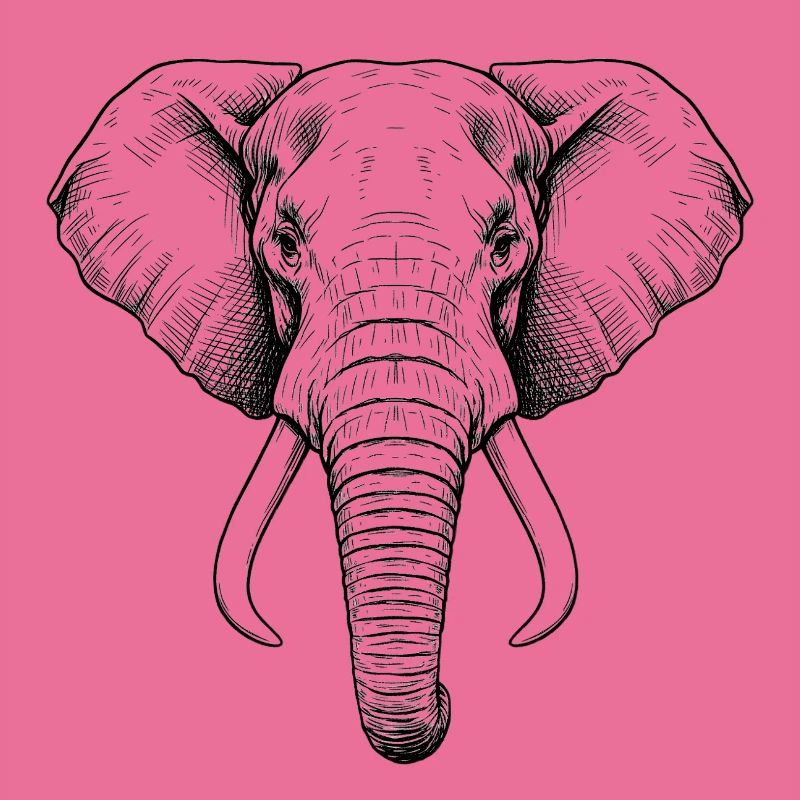 Éléphant