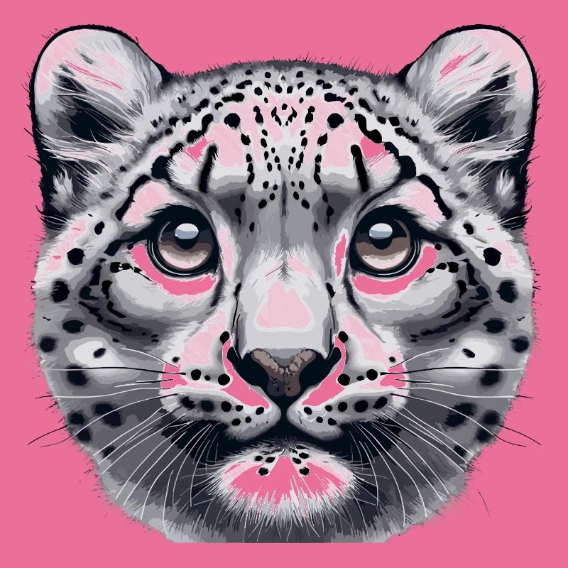 Snow Leopard Leopard White Leopard