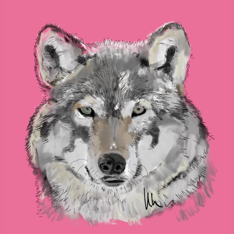 Loup