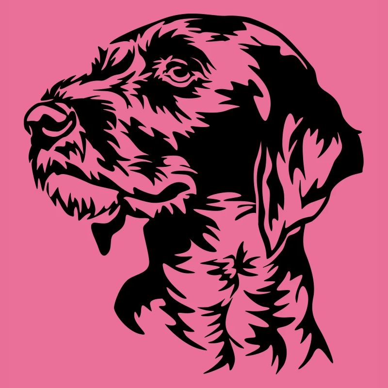 German Wirehaired Pointer head