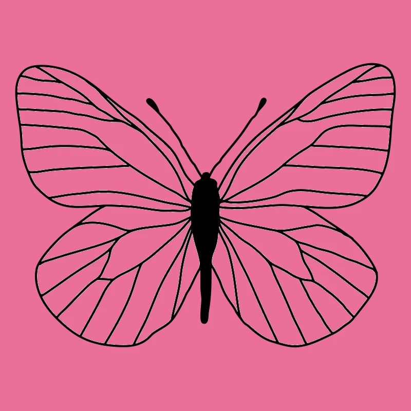 Papillon blanc