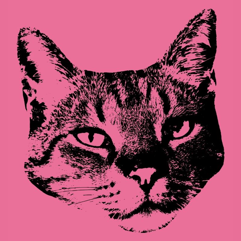 Katze Kätzchen Katzenshirt Geschenk