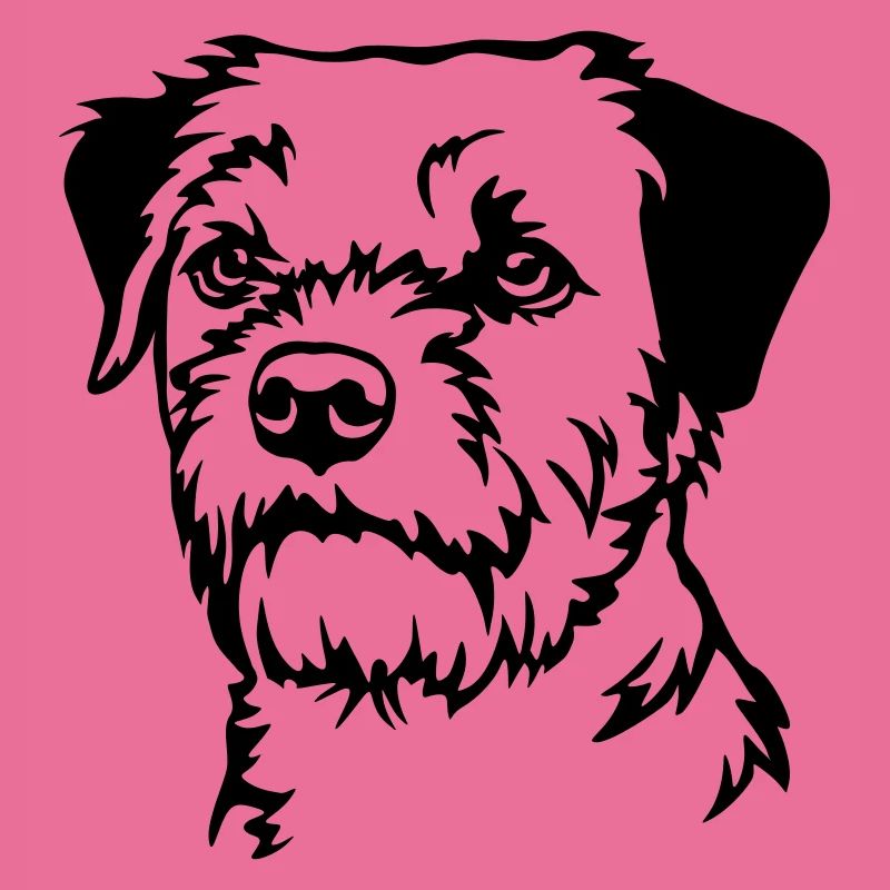 Border Terrier Head