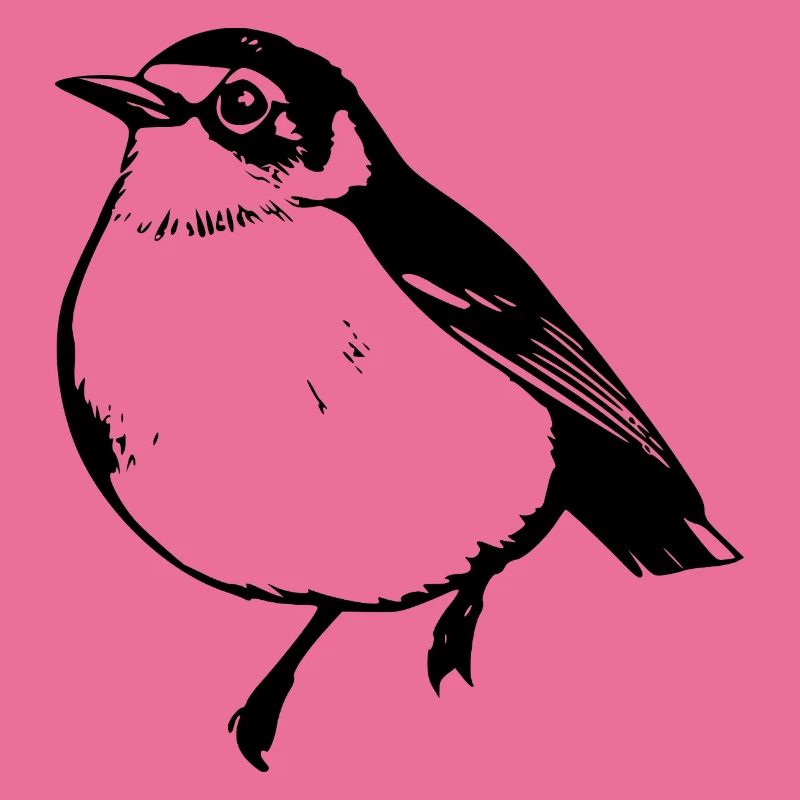Vogel schwarz schwarzer Vogel