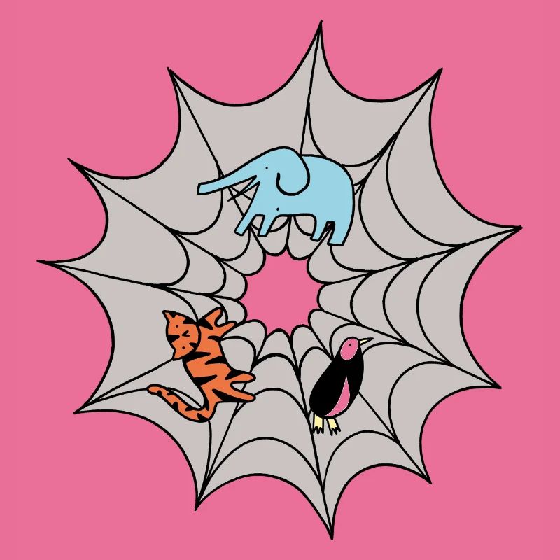 Spider web