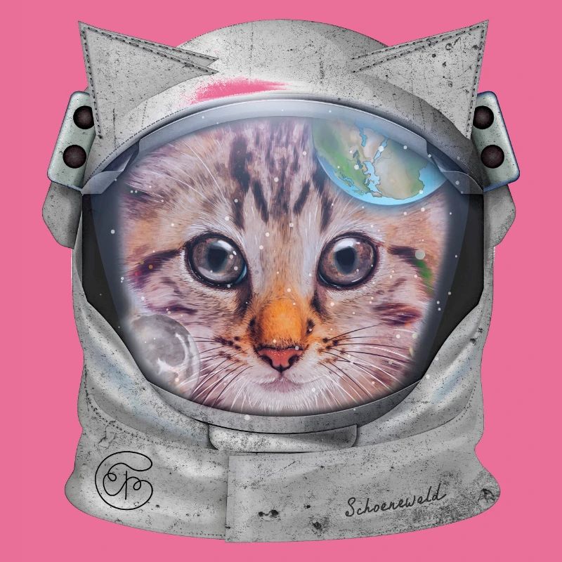 Chat dans l’espace