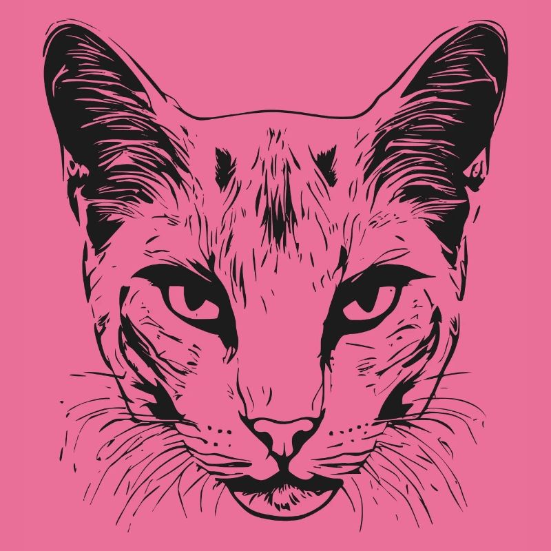 Chat 1