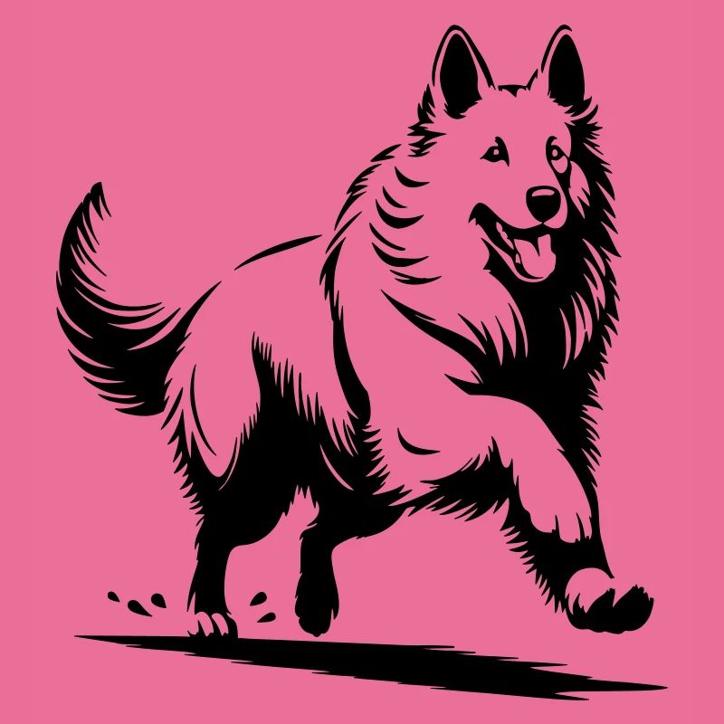 Schweizer Schäferhund