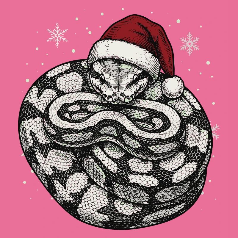 Königspython Weihnachten Ball Python Schlange