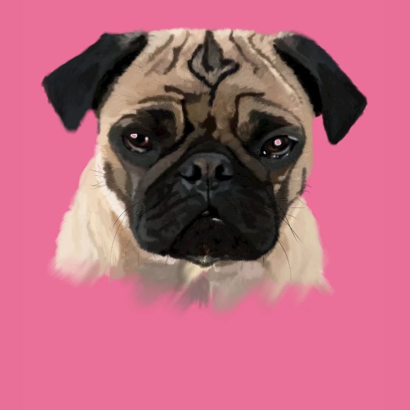 Mops