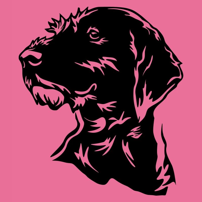German Wirehaired Head