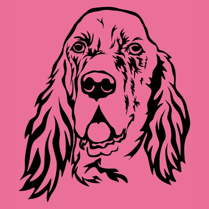 Englischer Setter Kopf