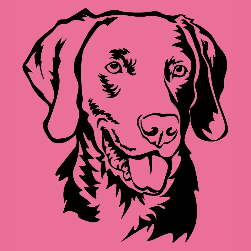 Tête de Weimaraner