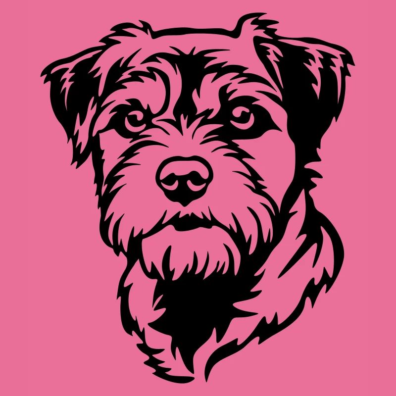 Border Terrier Head