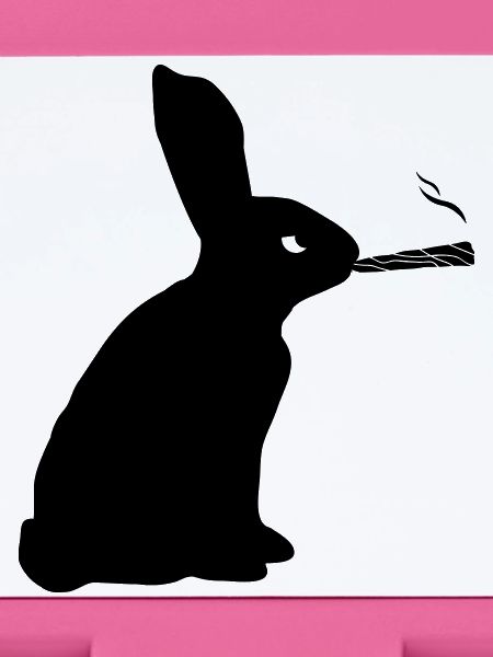 Hase Joint
