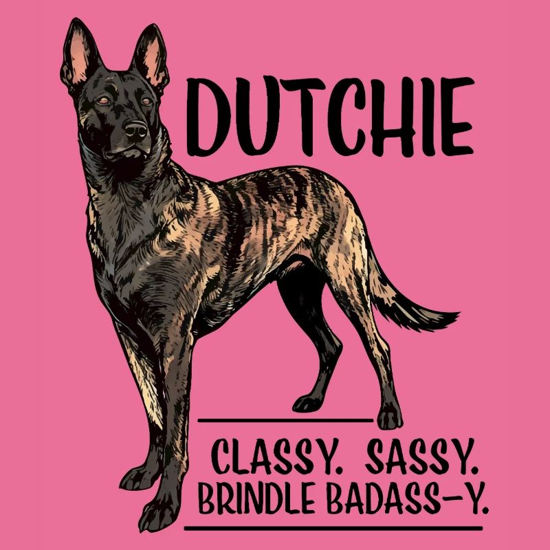 Dutchie - Holländischer Schäferhund