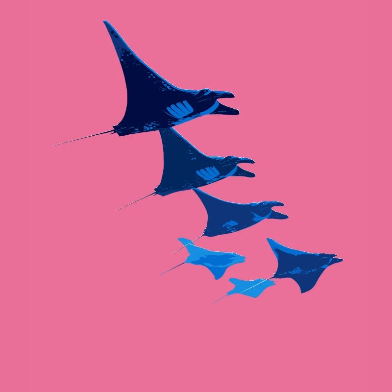 Manta Ray, Devil Ray, Stingray, Diver
