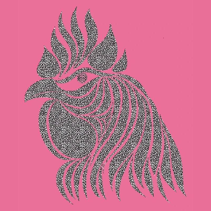 Fans de poulet - Coq - Coq - Poulet fleur - Bio