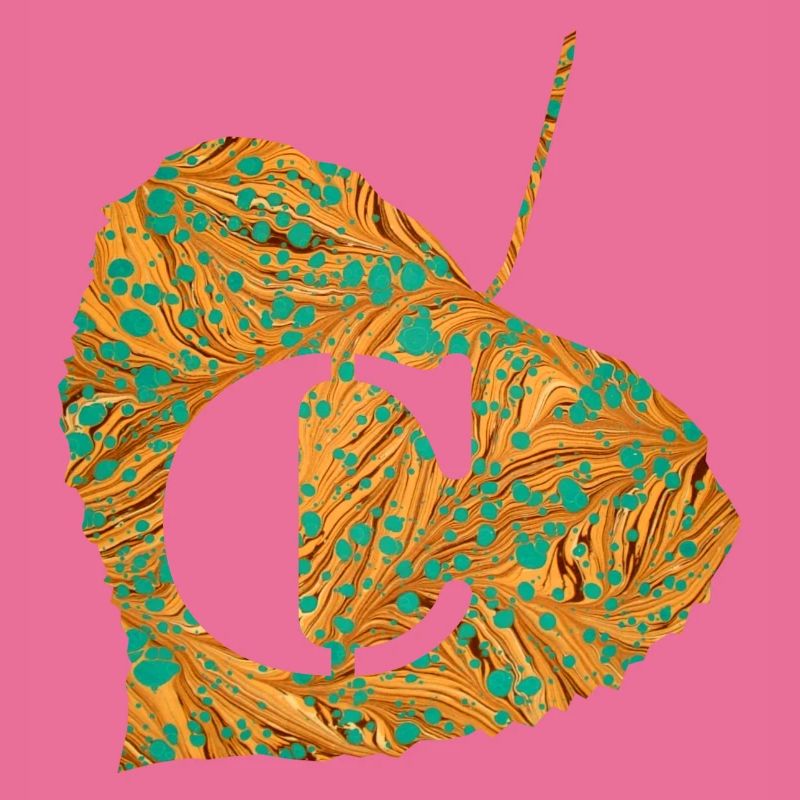 Feuille E 95 C