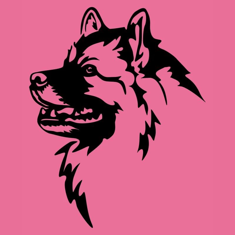 Wolfsspitz Kopf