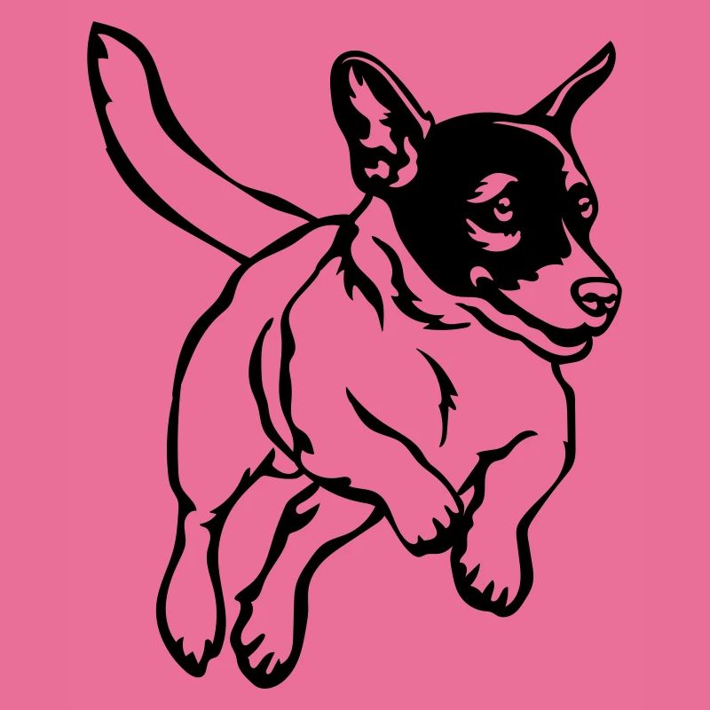 Jack Russell Terrier