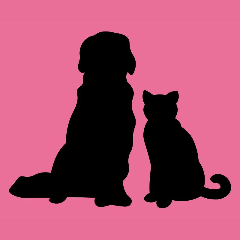 Chat avec chien