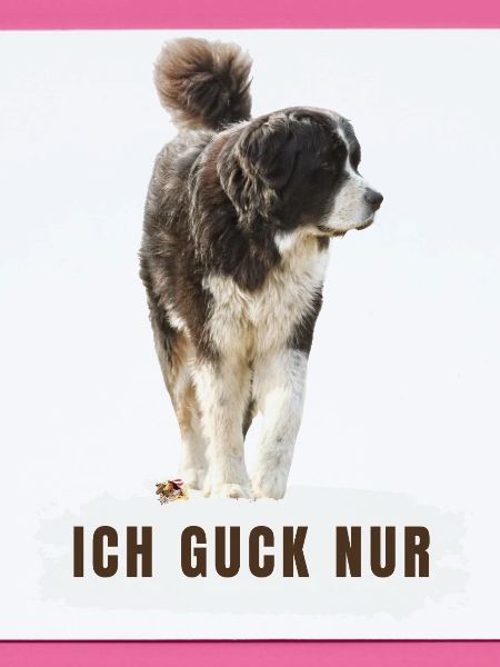 Ich Guck nur