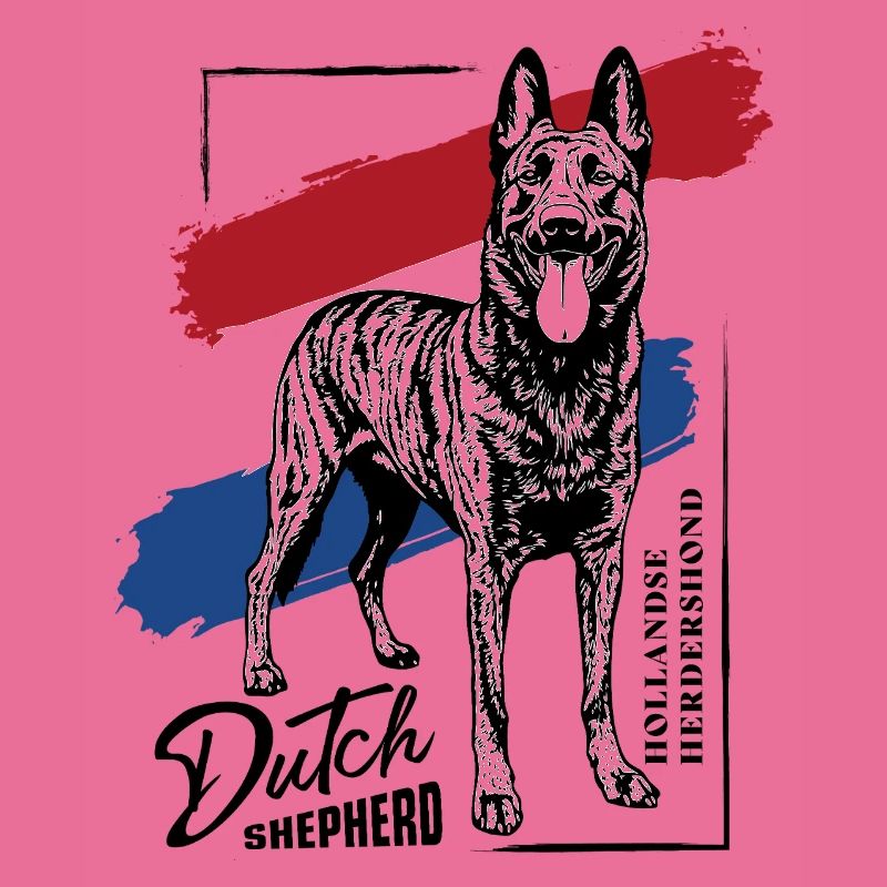 Dutch Shepherd - Dutchie 