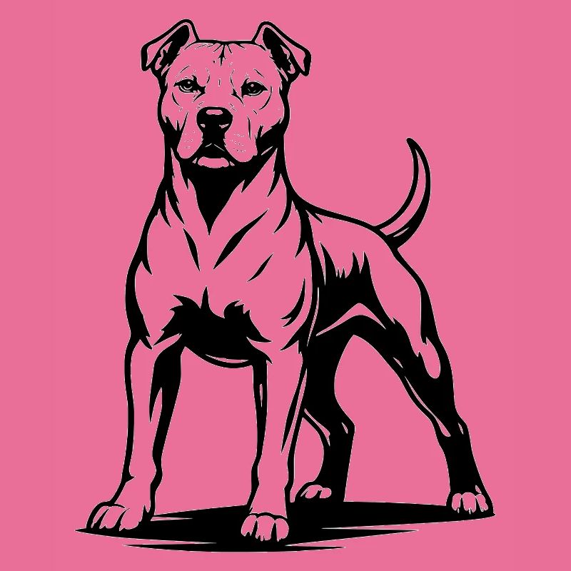 Pitbull in stolzer Pose