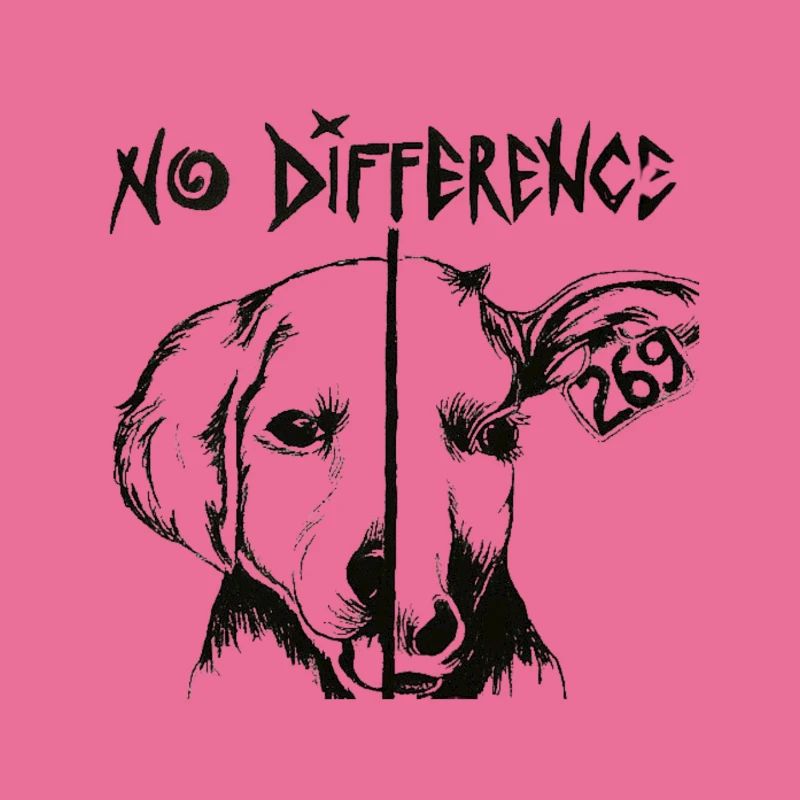 Aucune différence