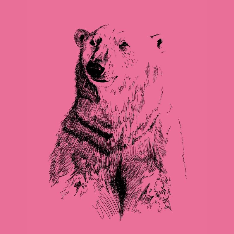 ours blanc