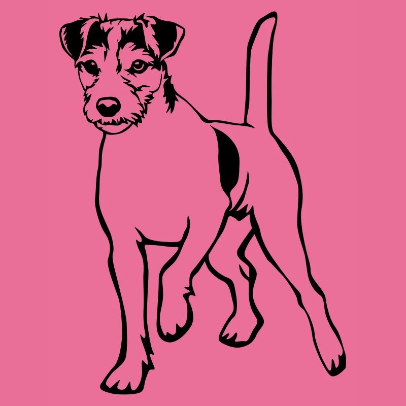 Parson Russell Terrier