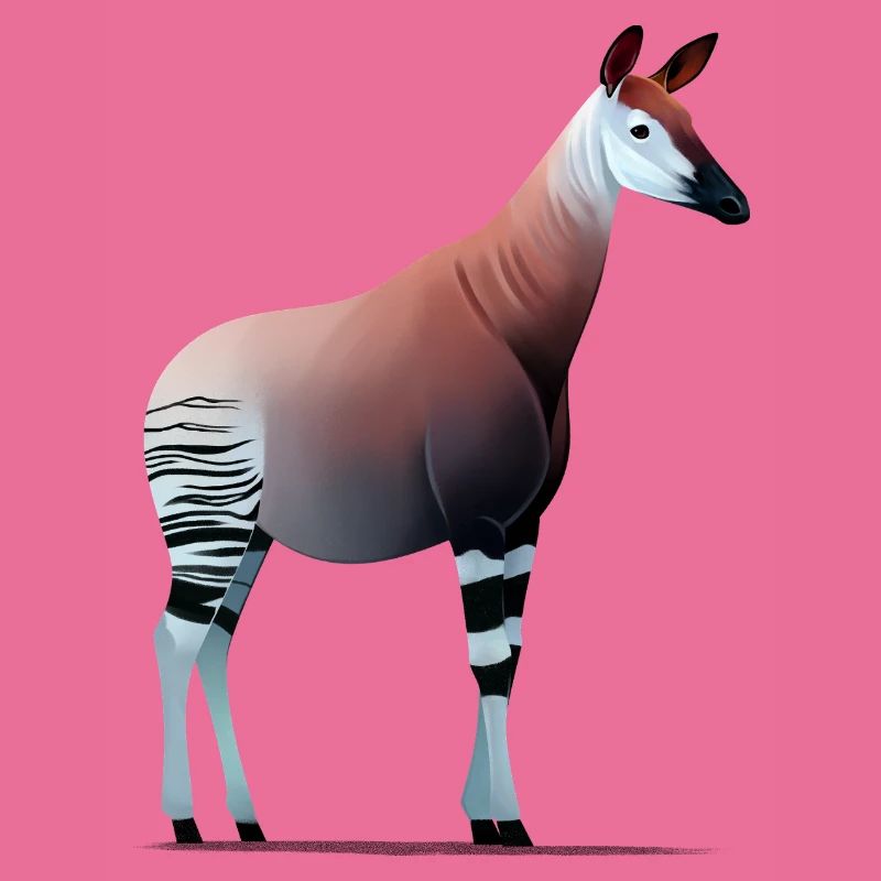 Okapi
