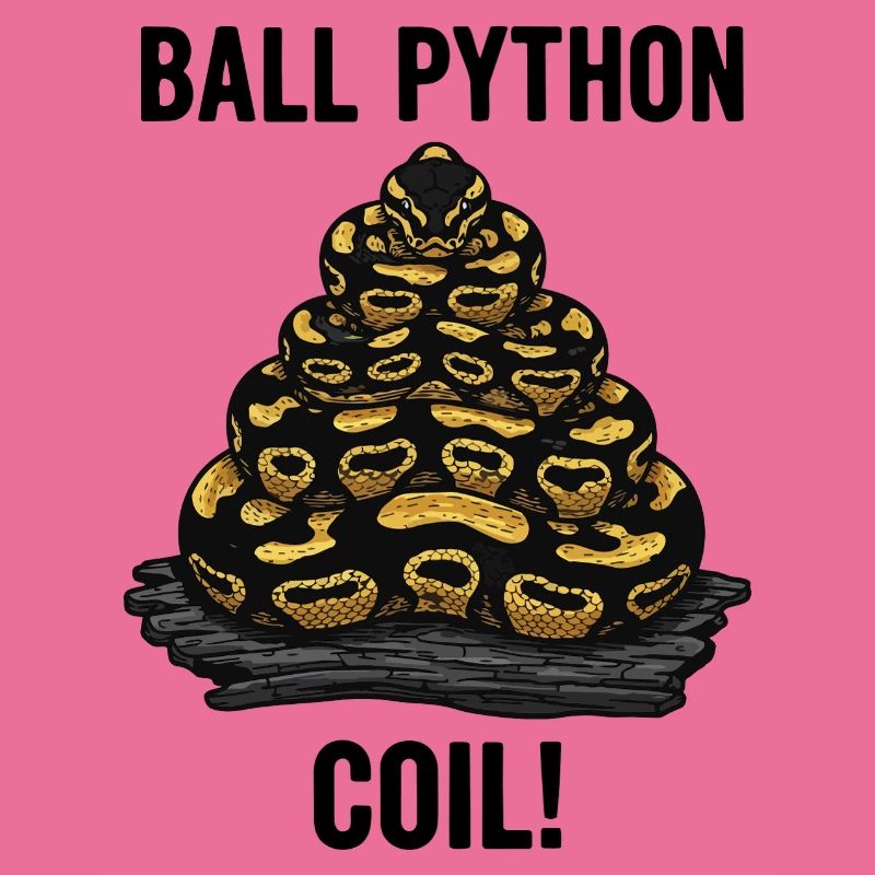 Royal Python Ball Python Coil Reptilienpyramide