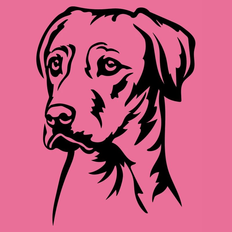 Rhodesian Ridgeback Kopf