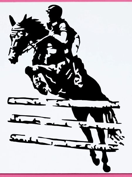 Springreiter Reiter