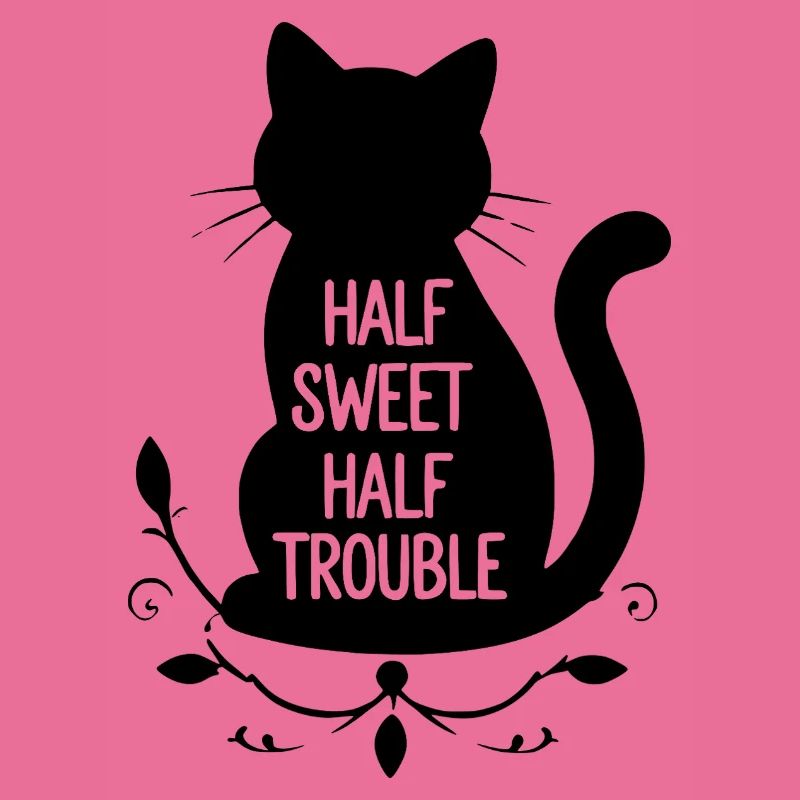 Chat noir mi-doux mi-trouble