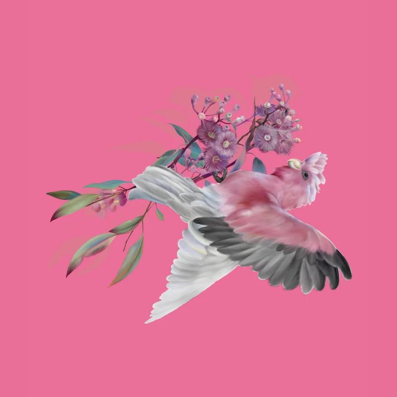 Galah auf der Eukalyptusblüte