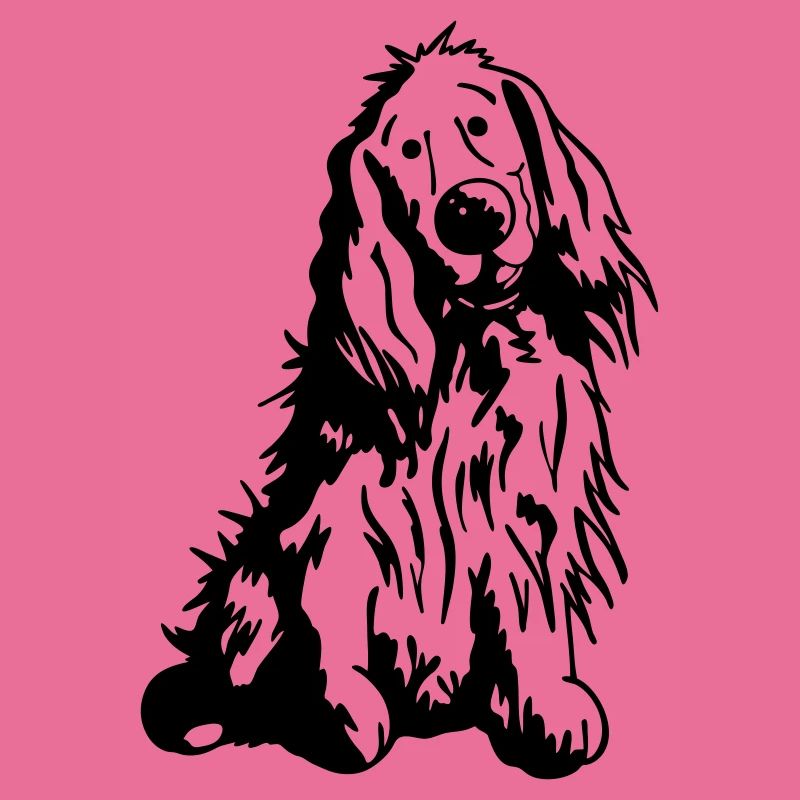 Cute English Cocker Spaniel