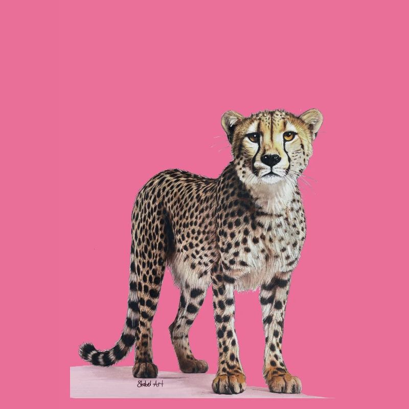 Guépard - Gepard